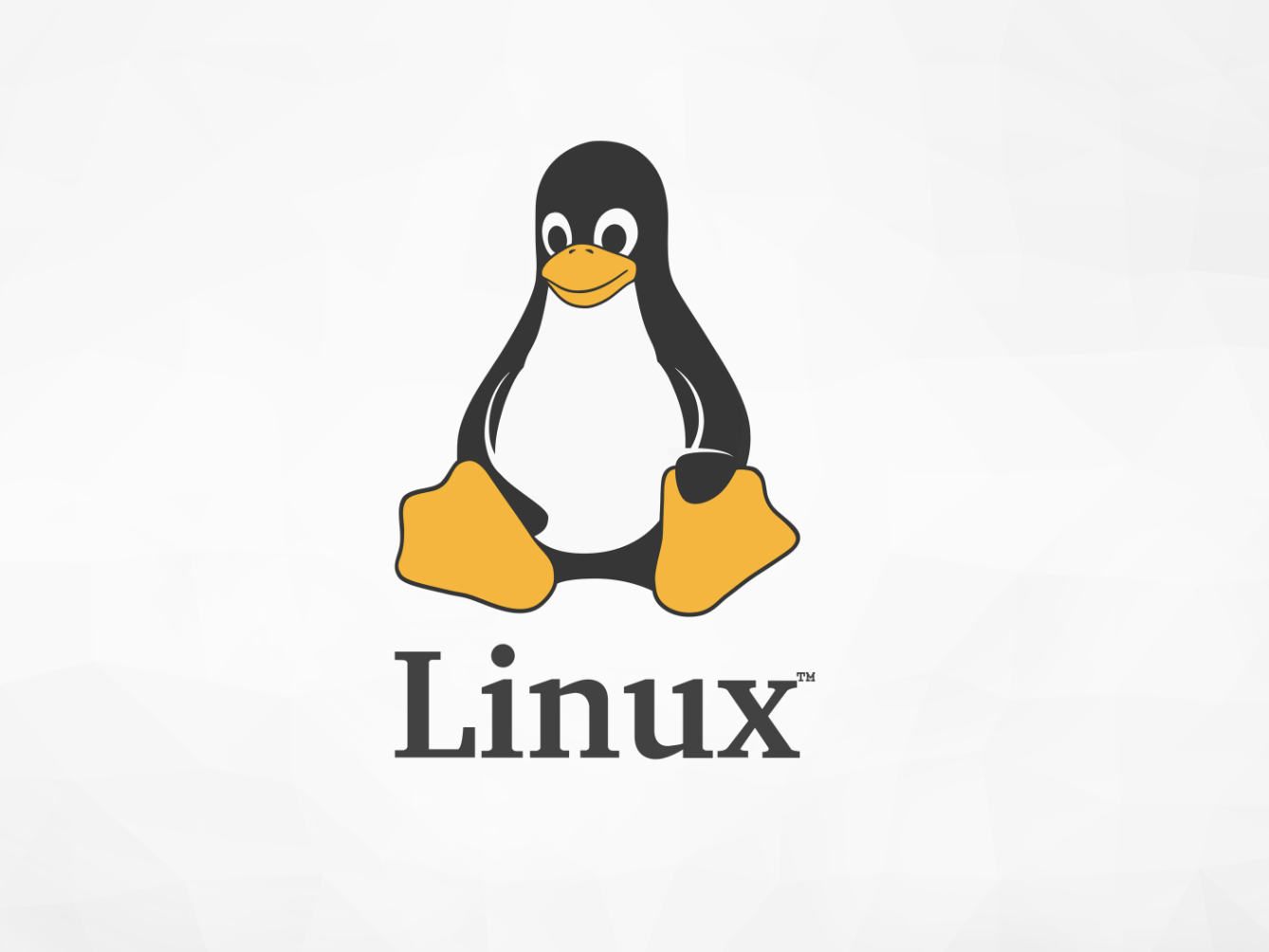 Linux Shell 学习笔记